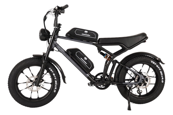 2024 Mamba Dallas 48v750w Fat Tyre eBike Dual Battery